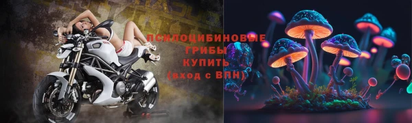 a pvp Алексеевка