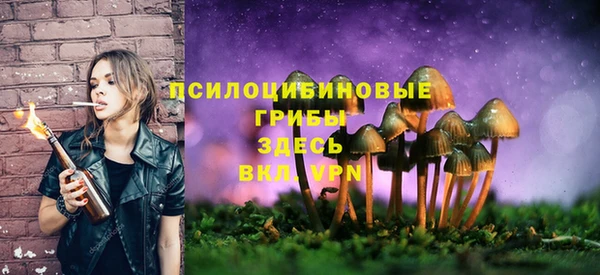 метадон Алзамай