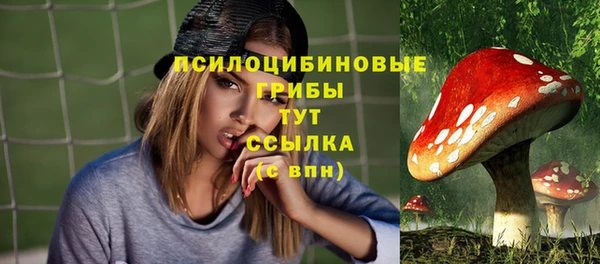 прущие грибы Алексин