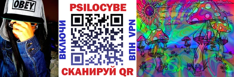 Галлюциногенные грибы Psilocybine cubensis  Ишим 